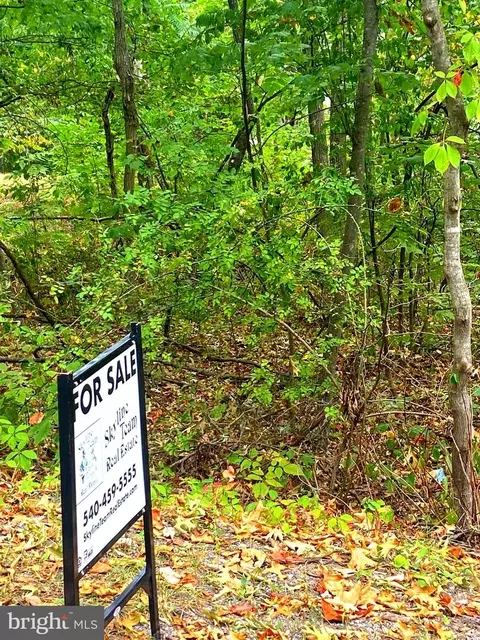 Willow Ln, Mount Jackson, VA 22842 photo 2