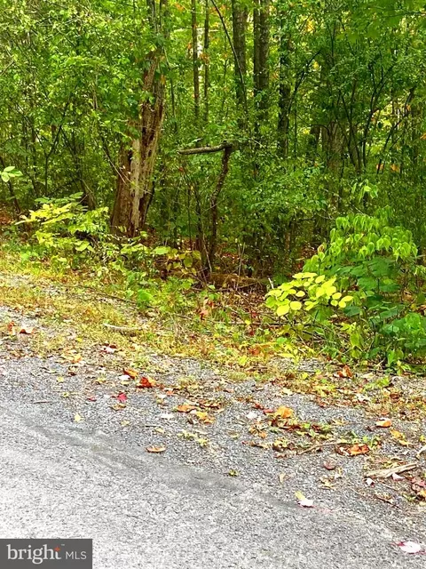 Willow Ln, Mount Jackson, VA 22842 photo 3