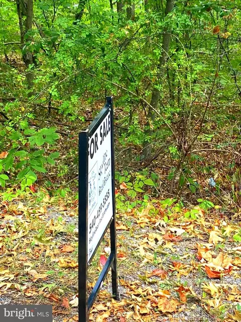 Willow Ln, Mount Jackson, VA 22842 photo 5