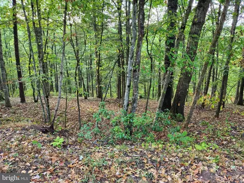 lot445 Chestnut Ridge Rd, Mount Jackson, VA 22842