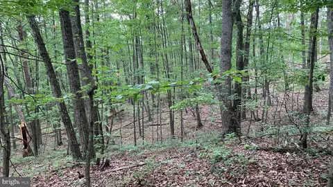 Vale Vista Drive, Edinburg, VA 22824