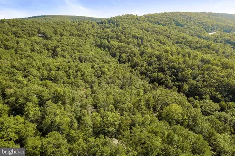 217 Pheasant Dr, Basye, VA 22810 photo 26