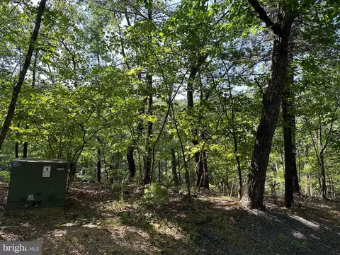 128 Ringneck Ct, Basye, VA 22810