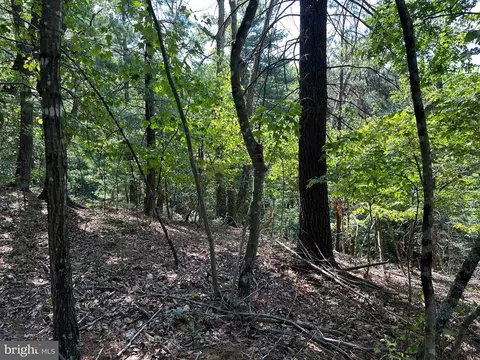 128 Ringneck Ct, Basye, VA 22810 photo 2
