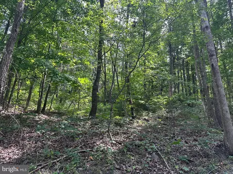 61 Elk St, Basye, VA 22810 photo 3