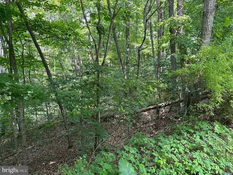 61 Elk St, Basye, VA 22810 photo 2