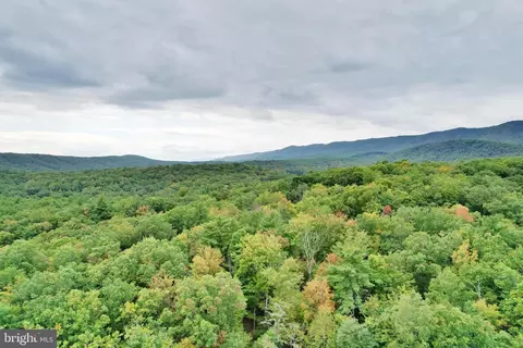 266 A Spitz #83A, Basye, VA 22810 photo 40