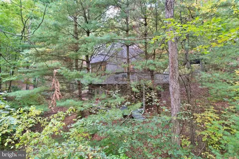 266 A Spitz #83A, Basye, VA 22810 photo 38