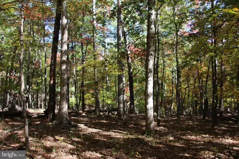 Back Road, Toms Brook, VA 22660