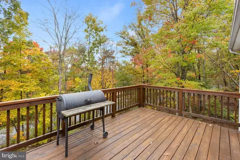 64 Maple Ave, Mount Jackson, VA 22842 photo 24