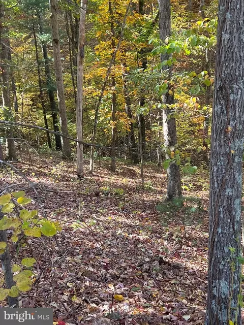 11 Brawley Lane, Basye, VA 22810 photo 3