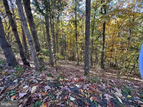 11 Brawley Lane, Basye, VA 22810 photo 5