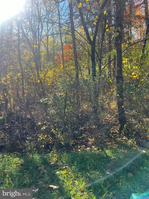 169 Quail Road, Basye, VA 22810 photo 6