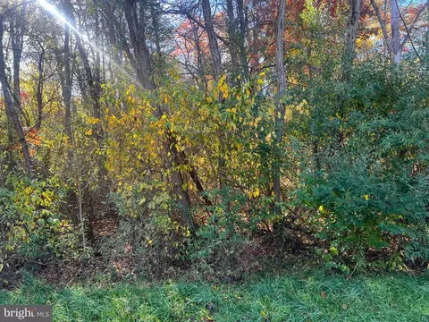 169 Quail Road, Basye, VA 22810 photo 7