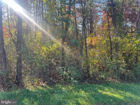 169 Quail Road, Basye, VA 22810 photo 4