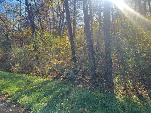 169 Quail Road, Basye, VA 22810 photo 5