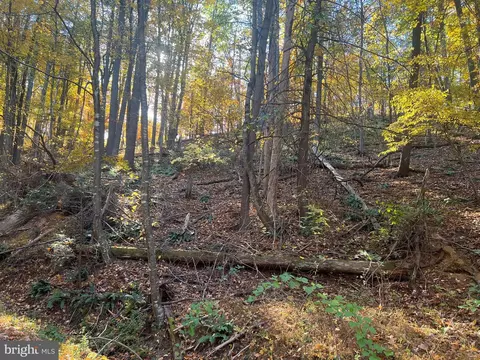 0 Pin Oak St, Basye, VA 22810