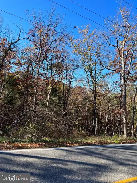 Orkney Grade, Basye, VA 22810 photo 3