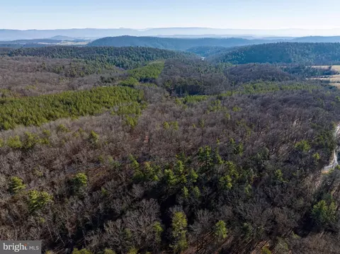 2601 Hepner Rd, Mount Jackson, VA 22842 photo 79