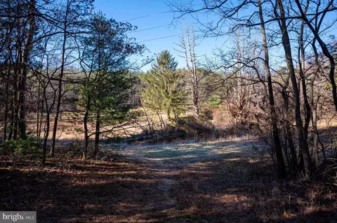 2601 Hepner Rd, Mount Jackson, VA 22842 photo 19