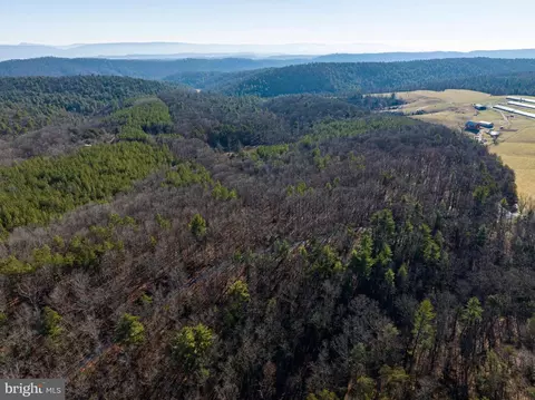 2601 Hepner Rd, Mount Jackson, VA 22842 photo 82