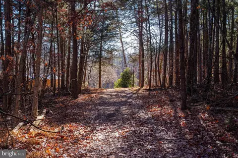 2601 Hepner Rd, Mount Jackson, VA 22842 photo 45