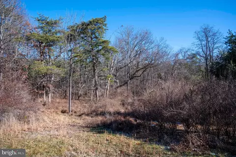 2601 Hepner Rd, Mount Jackson, VA 22842 photo 42