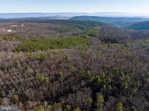 2601 Hepner Rd, Mount Jackson, VA 22842 photo 78