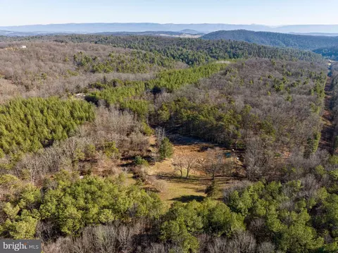 2601 Hepner Rd, Mount Jackson, VA 22842 photo 57