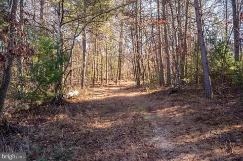 2601 Hepner Rd, Mount Jackson, VA 22842 photo 20