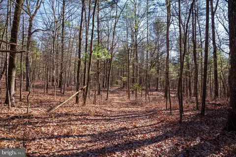 2601 Hepner Rd, Mount Jackson, VA 22842 photo 9
