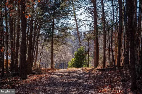 2601 Hepner Rd, Mount Jackson, VA 22842 photo 44