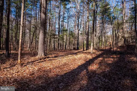 2601 Hepner Rd, Mount Jackson, VA 22842 photo 7