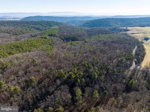 2601 Hepner Rd, Mount Jackson, VA 22842 photo 81