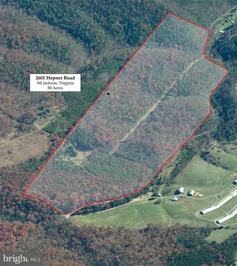 2601 Hepner Rd, Mount Jackson, VA 22842