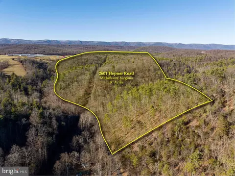 2601 Hepner Rd, Mount Jackson, VA 22842 photo 48