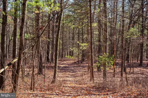 2601 Hepner Rd, Mount Jackson, VA 22842 photo 8