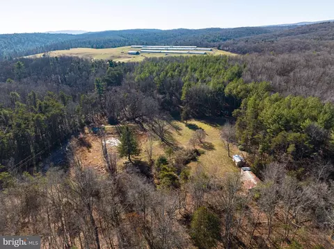 2601 Hepner Rd, Mount Jackson, VA 22842 photo 61