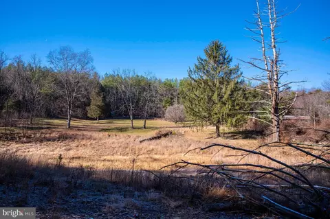 2601 Hepner Rd, Mount Jackson, VA 22842 photo 25