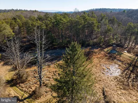 2601 Hepner Rd, Mount Jackson, VA 22842 photo 74