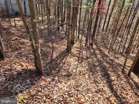 Braggs Cove Rd. Road, Basye, VA 22810