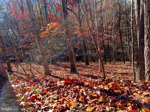 Brawley Lot 12, Basye, VA 22810