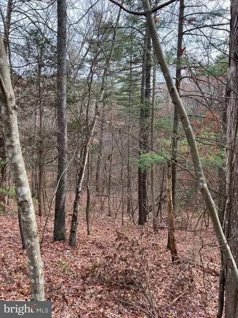70 Alpine Way North, Mount Jackson, VA 22842