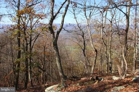 Cedar Road, Strasburg, VA 22657