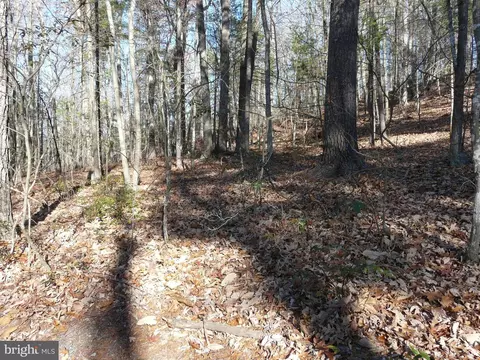 146 Ellis, Basye, VA 22810 photo 36