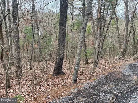 lot219 Crabapple Rd, Mount Jackson, VA 22842