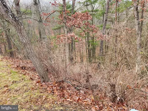 Deloris, Basye, VA 22810