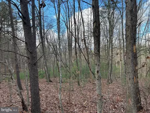 Beaver Road, Basye, VA 22810