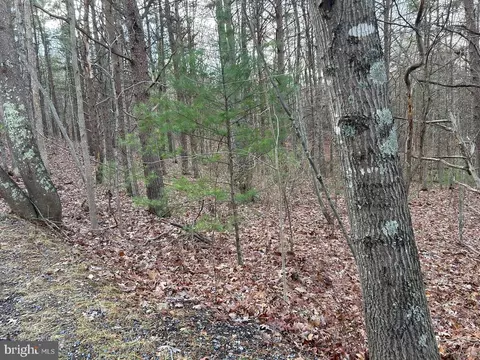 Beaver Road, Basye, VA 22810 photo 2