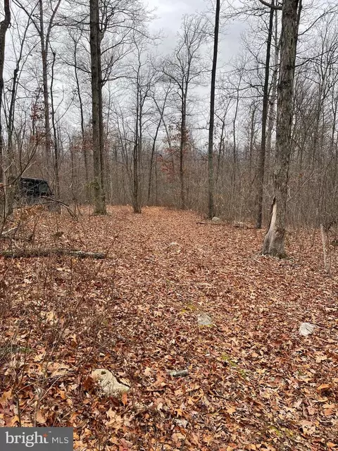 1 Fox Run Ln, Edinburg, VA 22824